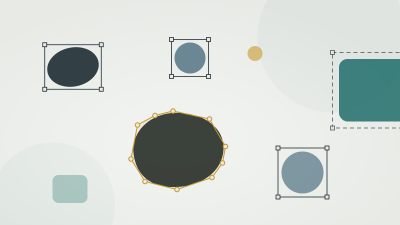 Data annotation shown as abstract shapes in bounding boxes, one outlined with a polygon for human review
